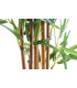 planta decorativa bambú para interior